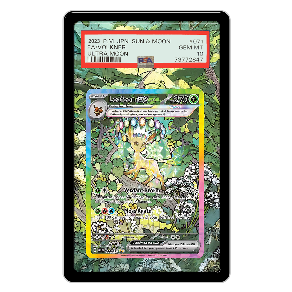 Pokemon Cards Display PTCG Lea - مراجعة Display Case Acrylic وسعره