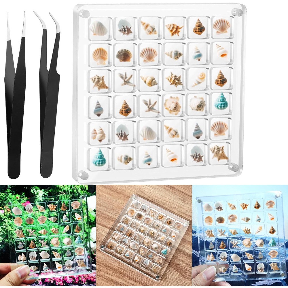 Clear Acrylic Magnetic Seashel - مراجعة Display Case Acrylic وسعره