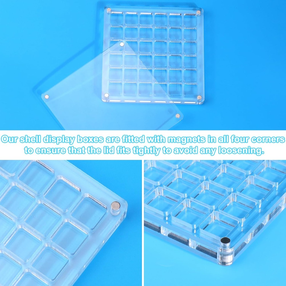 Clear Acrylic Magnetic Seashel - مراجعة Display Case Acrylic وسعره